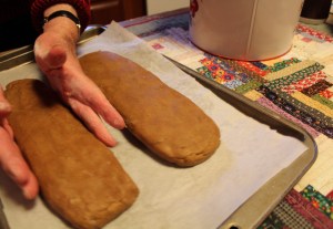 Shape the dough into two long loaves with your hands.
