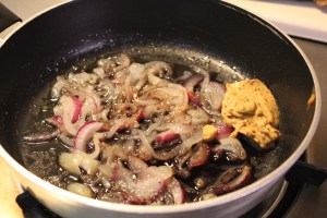 Cooking the onions with seasonings.