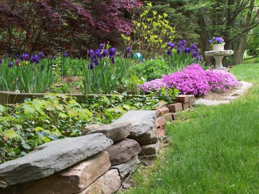 View of the perennial border.