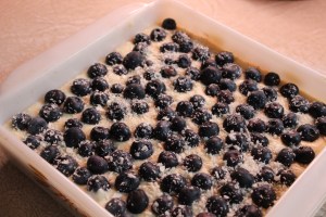 Spread blueberries evenly on top. 