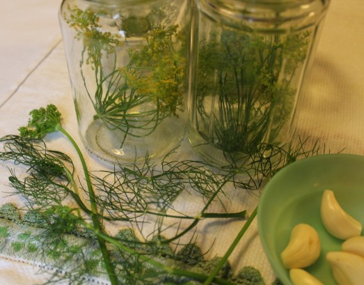 Place sprigs of dill in bottom of jars.  Add a clove of garlic.