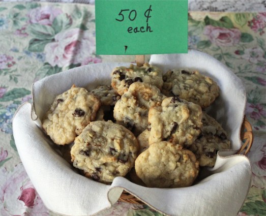 Chocolate Chip Coconut Mounds