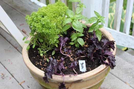 Play nice, you guys :)