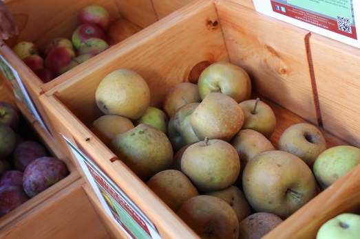 Many bins of apples, like this one.
